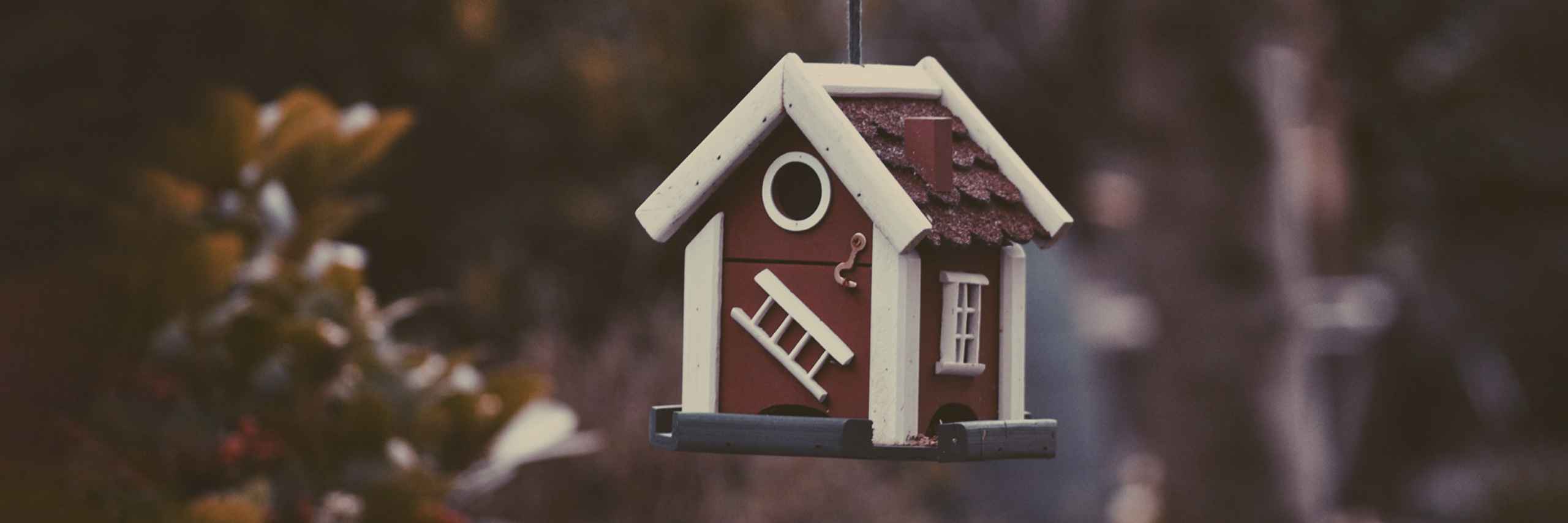 PROSIGHT Webstránky header image